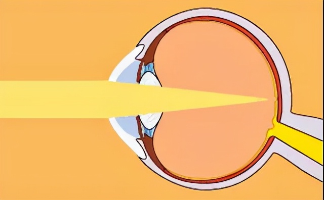 生命汇国际整合医疗怎么样,生命汇国际整合医疗