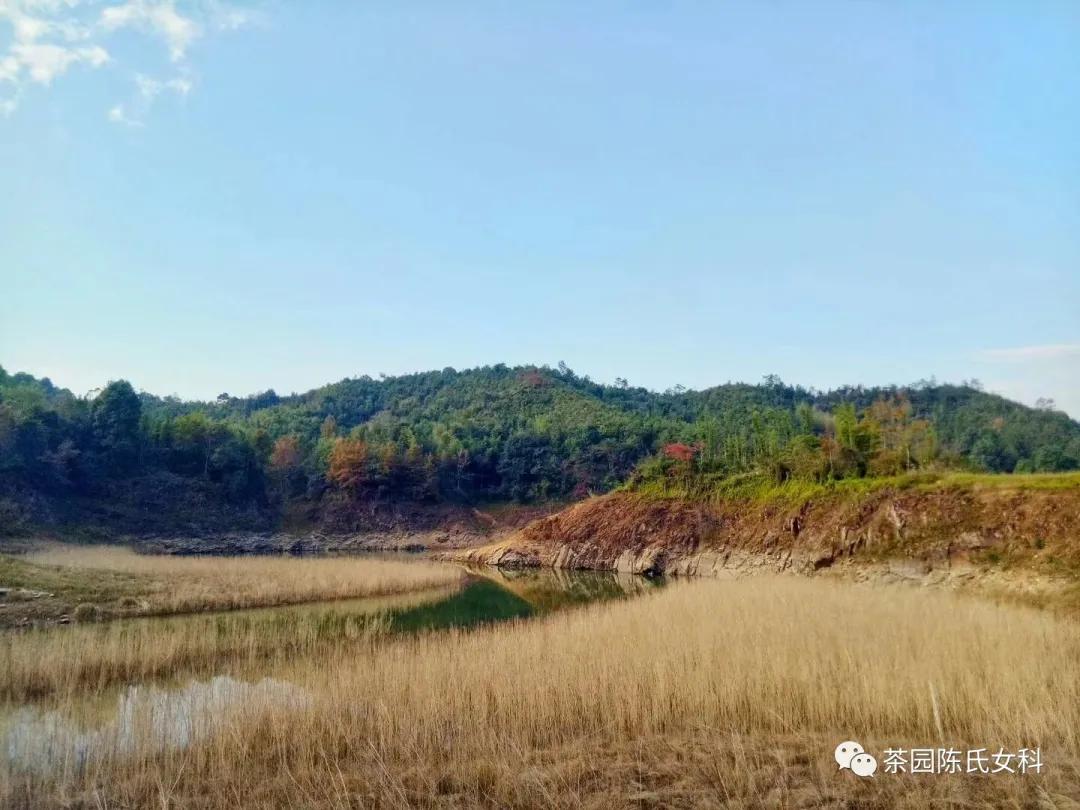 月经期间吃什么养子宫和卵巢,月经太少吃什么补得快