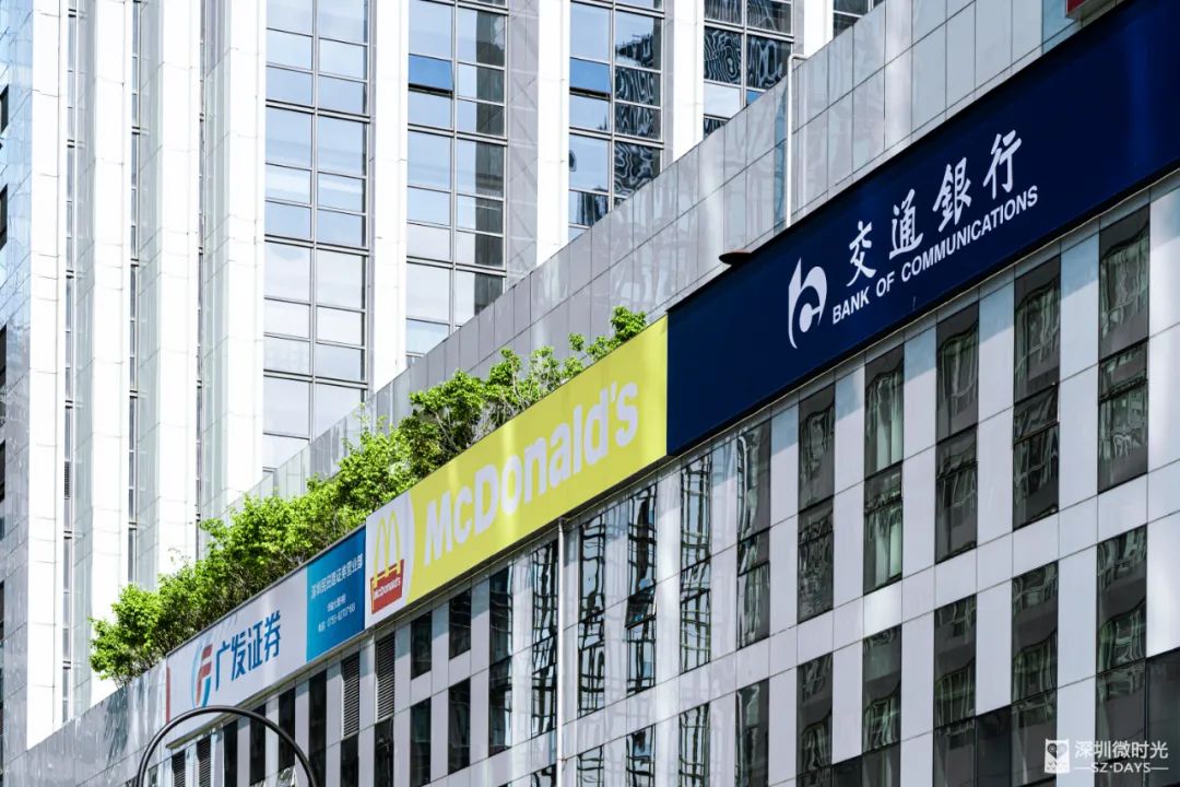 深圳银行学历,深圳银行985本科应届生待遇