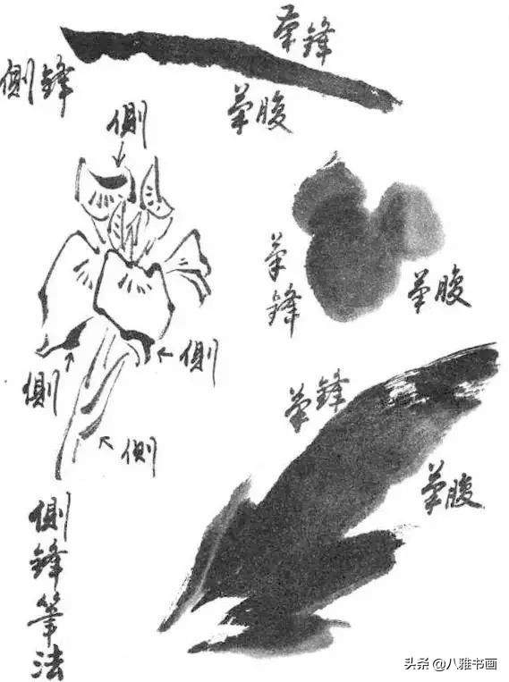 小写意花鸟画笔法,小写意花鸟画笔墨技法与创作