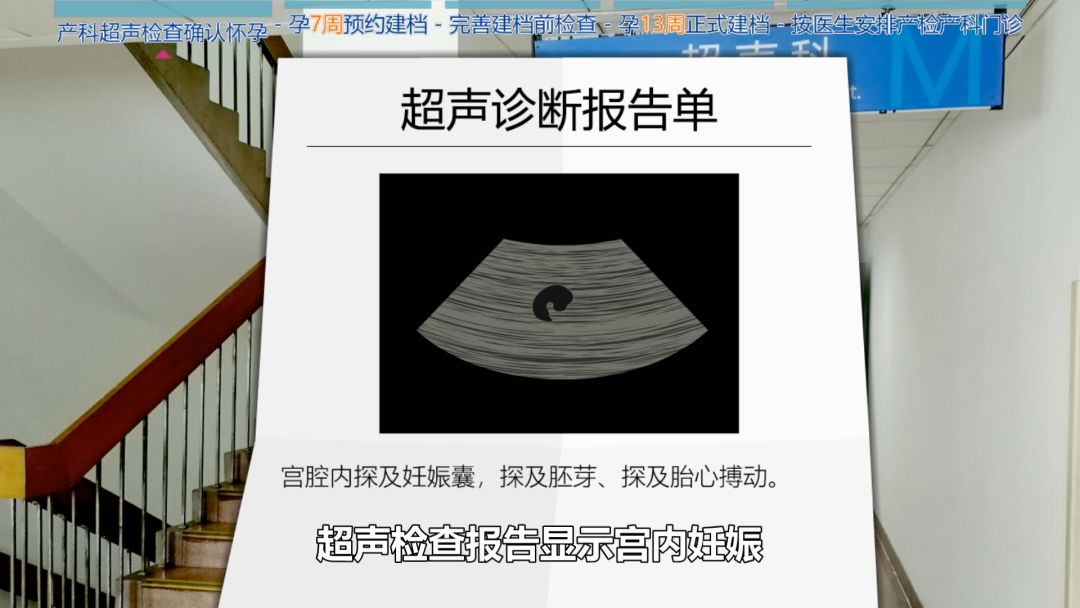 科普怀孕过程纪录片,科普动画怀孕