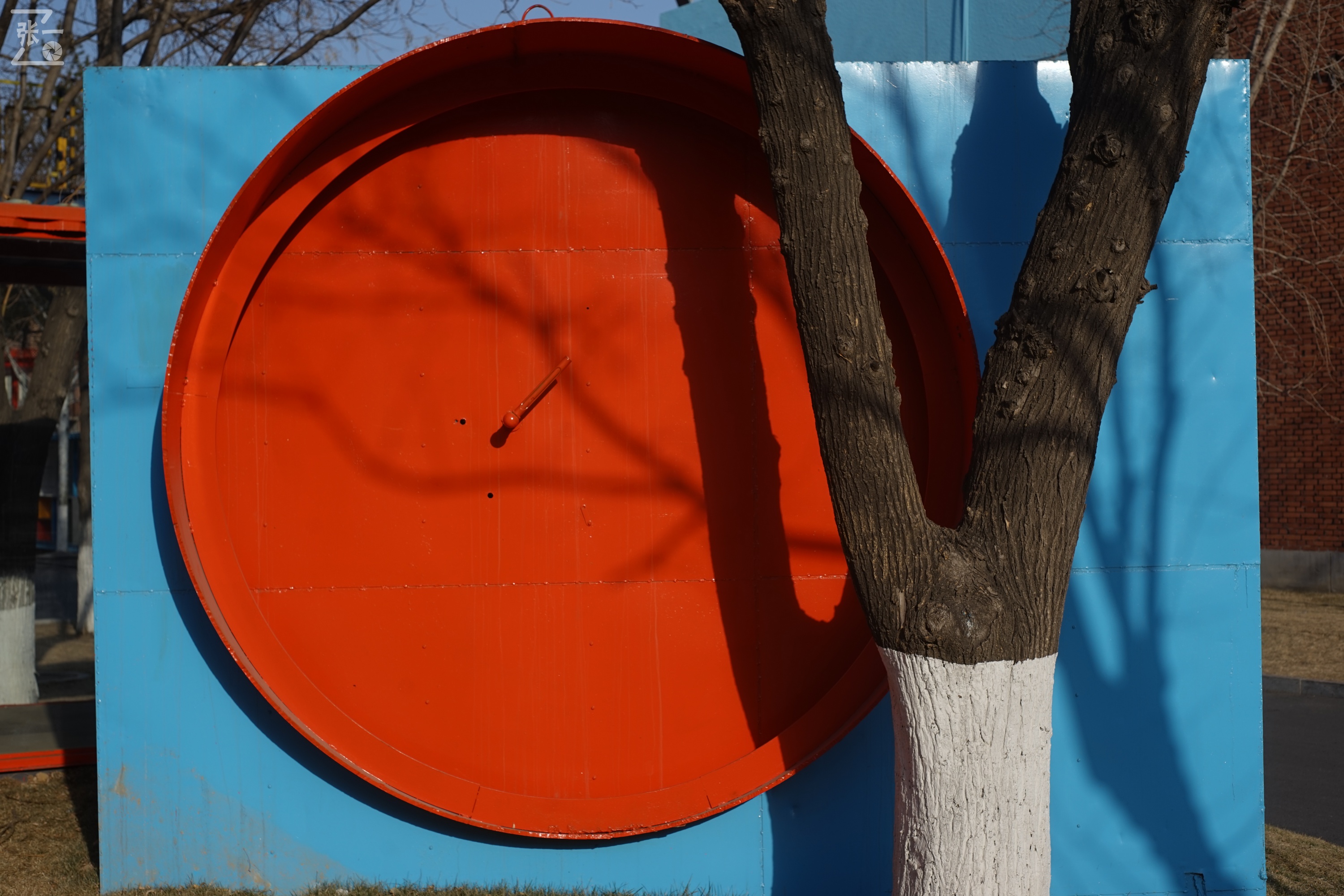 日本进口雅西卡胶卷相机,雅西卡135相机