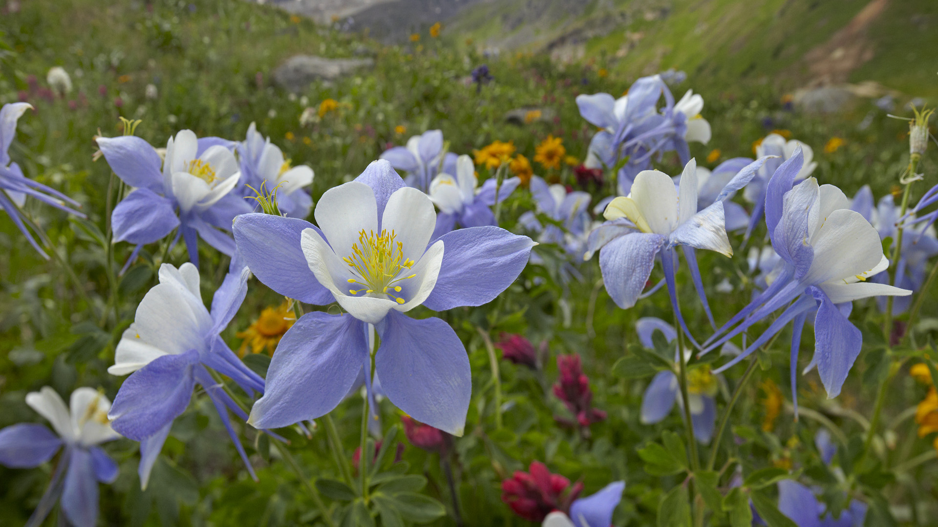 天蝎座分手挽回女朋友方法,天蝎座男生该怎么挽回前任