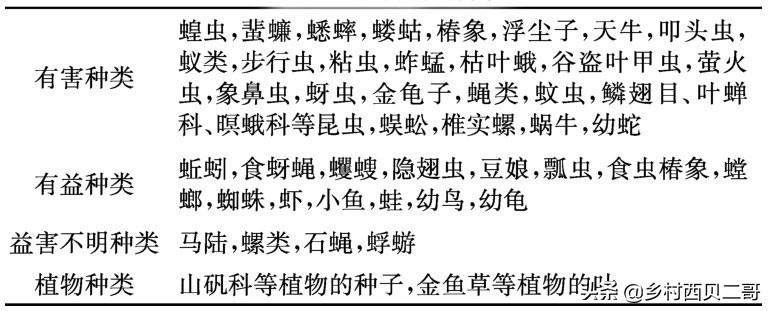 牛蛙的养殖技术及方法简介,牛蛙养殖的最新技术