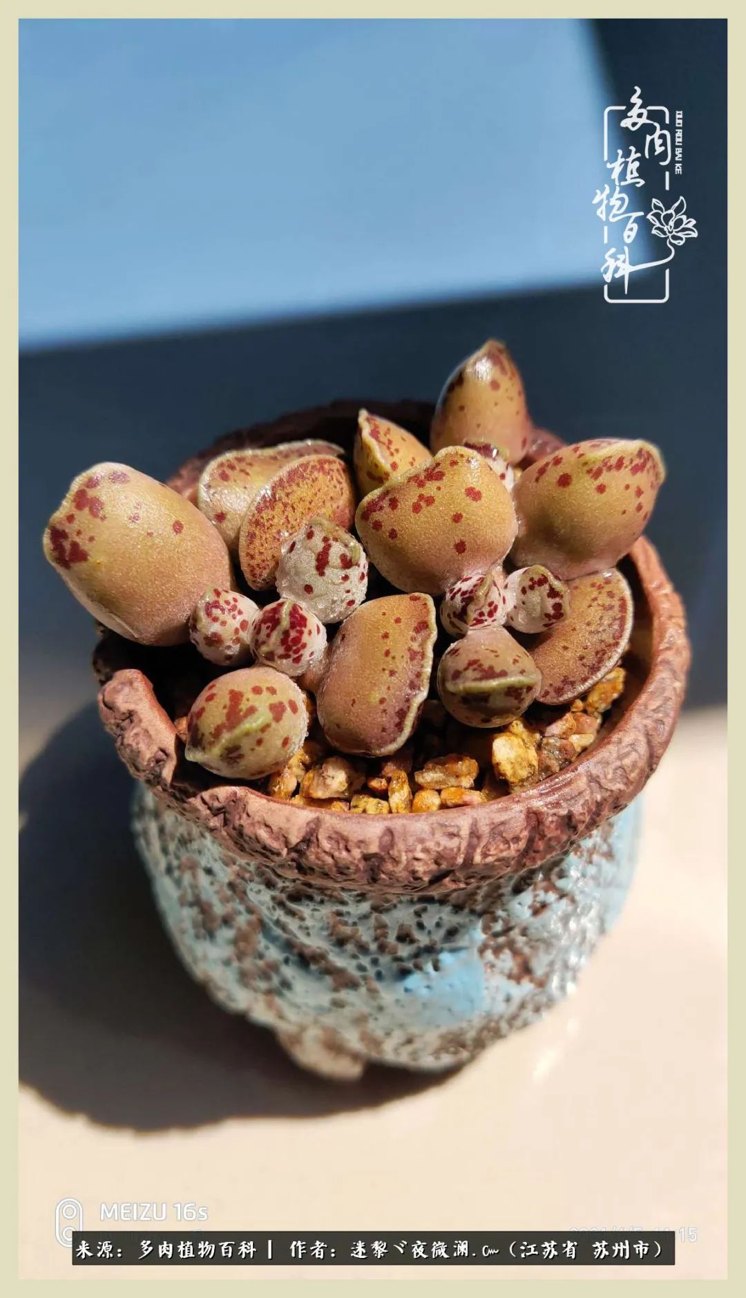 秋尽冬来岁月不居时节如流,岁月不居时节如流水