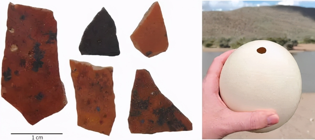 人类的行为是否具有地区性,人类早期迷惑行为