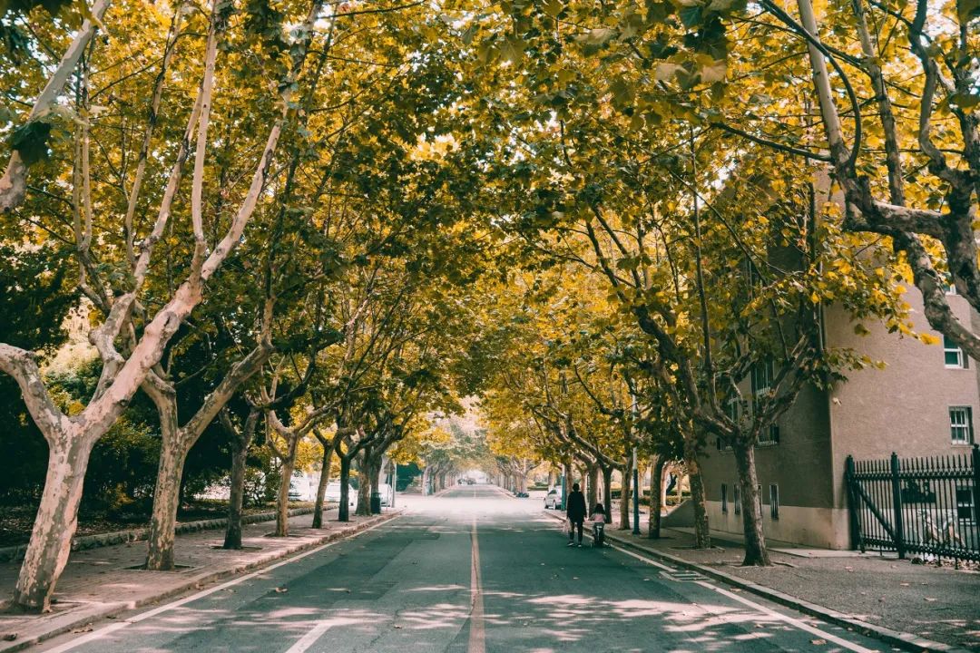 忽然想去旅游了,忽然想去宁波了