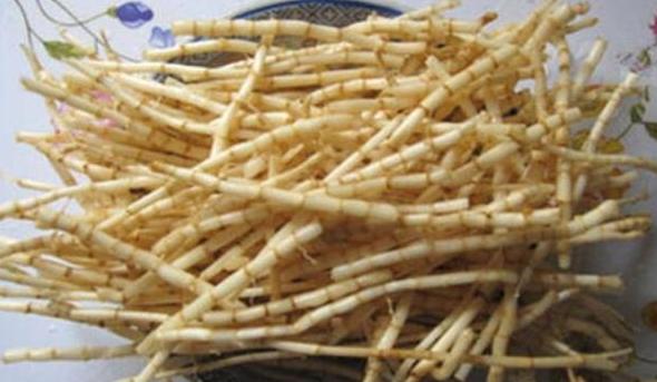 治疗胃热肺热的药有哪些,清肺热胃热最好的食物