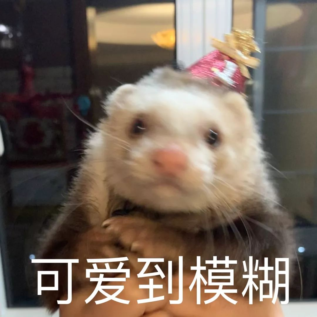 一只鸭子一万五元,一只鸭子一万多