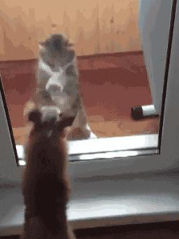 游泳从水里捞的东西,游泳有水蛇吗