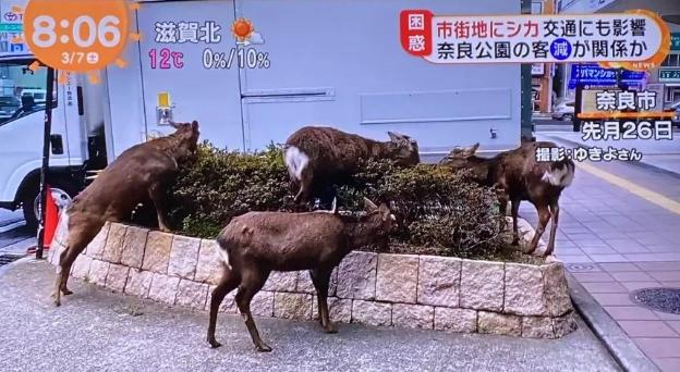 市场已恢复90%！新一轮的加盟投资热点你关注到了吗？