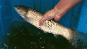 如何防止干家务手变粗糙,做家务手粗糙怎么快速改善