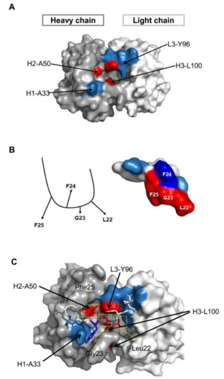 2024年乙肝新药研究进展,乙肝正在研究的新药