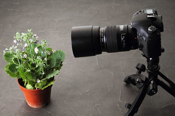 拍微距什么手机好,拍微距用什么镜头最好