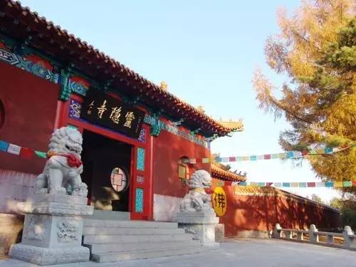 有人问你：哈尔滨哪个区（市）县最大哪个最小？都有啥？你知道不