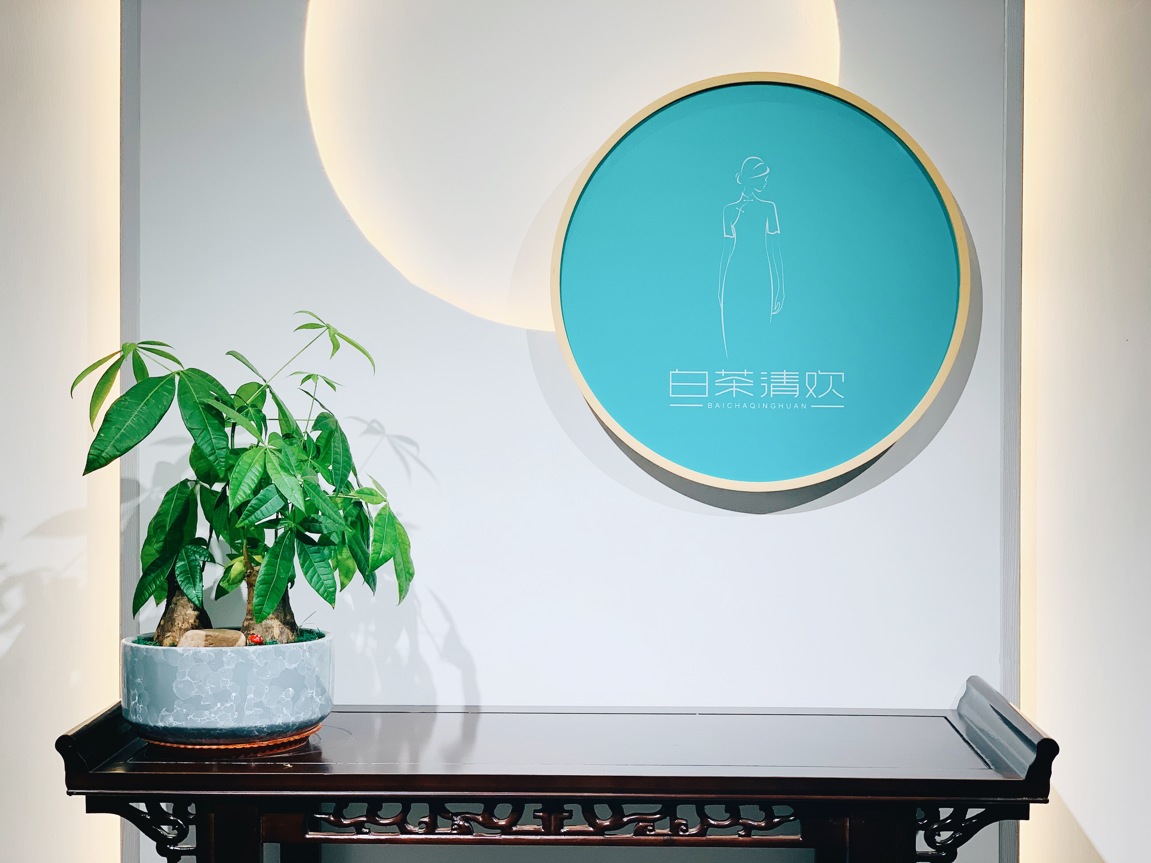 白茶清欢感恩遇见,白茶清欢山东