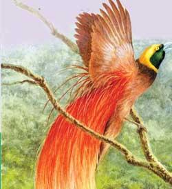 拟音大师创作,拟声大师