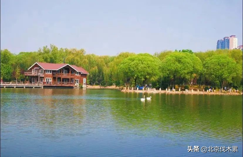 芒种至仲夏始最好的生活是什么,芒种好玩的地方