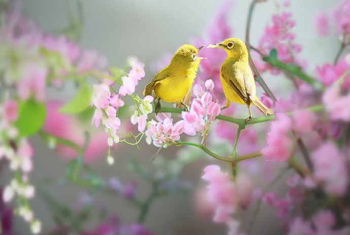 苏东坡趣闻全集,苏东坡趣闻趣事