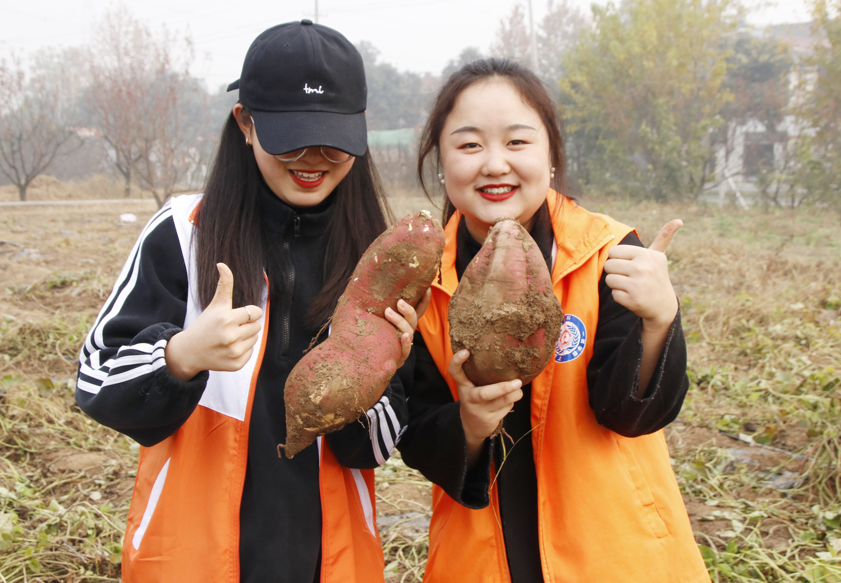 美好食光五年级劳动实践活动,西安职业技术学院职业教育活动周