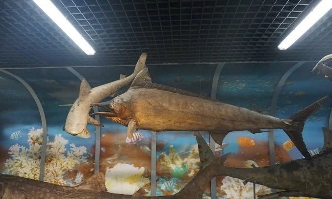 济南遛娃室内去哪里玩,济南值得玩的室内场馆