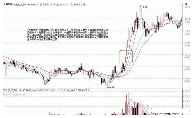 免费涨停板选股技巧,炒股秘籍逢低加仓