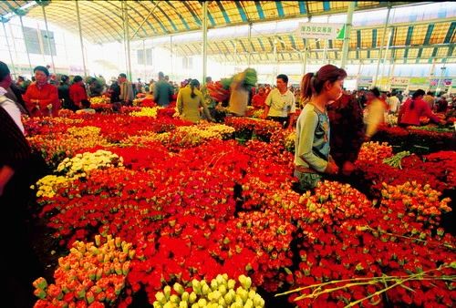 鏂颁簹娲蹭綋鑲插煄杩愬姩鏄ュ煄,椋庡皻涔嬭