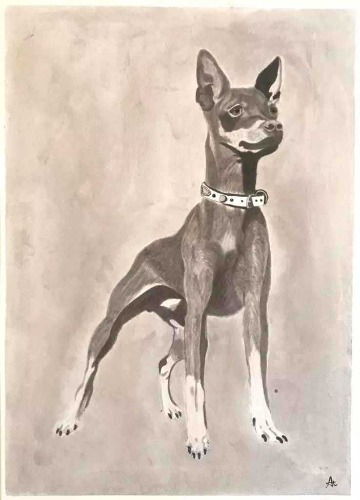 被足球耽误巨星,被足球耽误的视频