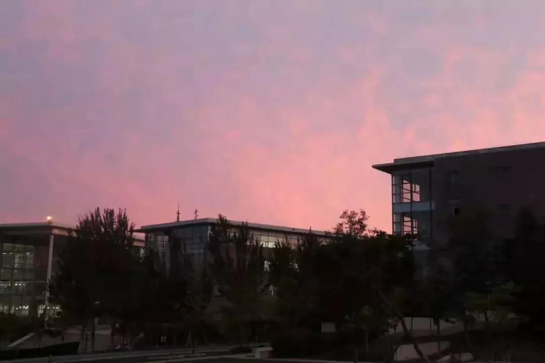 辽宁省高校（三十一）大连医科大学