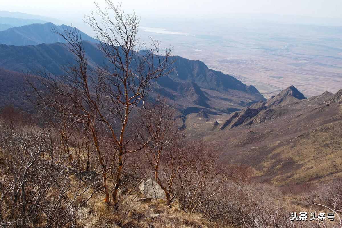 追忆我在朝鲜生活的日子17,追忆我的朝鲜生活全集