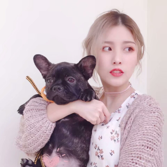 小孩遇到恶犬怎么办,遇到恶狗小孩怎么反击