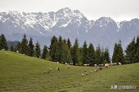 美丽富饶的新疆视频,美丽的新疆沙湾