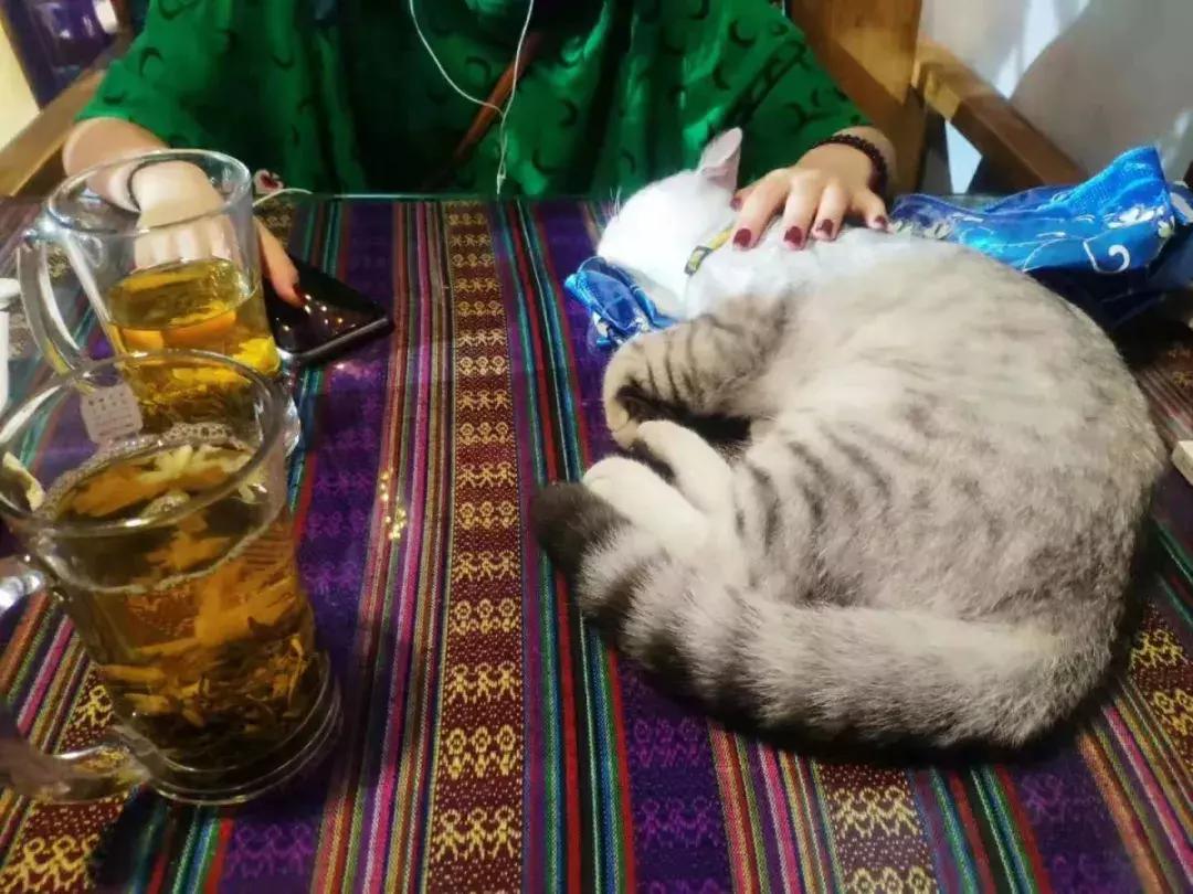 拒绝“人从众”！这个国庆必须到都江堰耍个“懒”，老街茶房、泥塑木作、古园书屋，快来享受你的小闲趣~