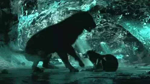 阿尔法|如果文明是卑躬屈膝,我会让你看到野蛮的骄傲