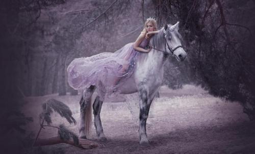 七度潮牌莆田,七度公司