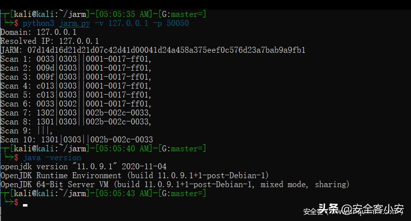 利用JARM指纹进行TLS服务端标记