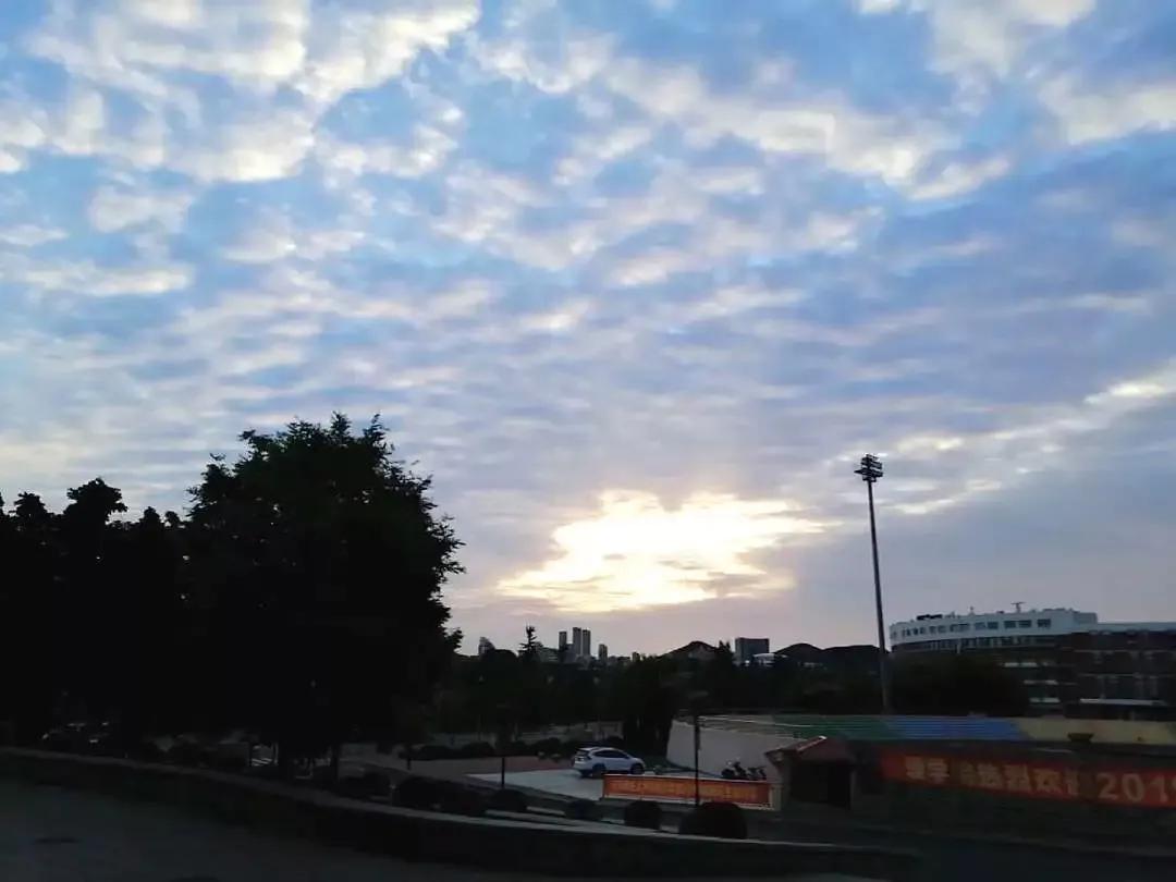 大连海事大学和辽宁省哪个级别高,大连海事大学辽宁省大学排名