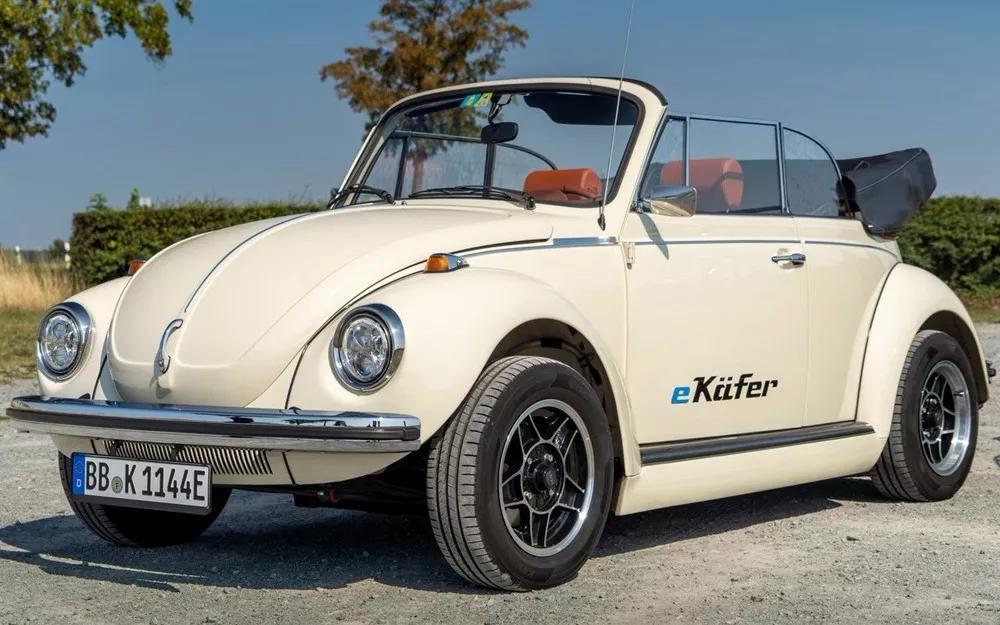 甲壳虫能彻底复活吗,造型奇特的甲壳虫