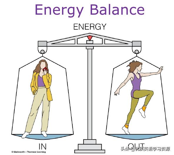 英语healthyfood视频,healthyfood英语外研版