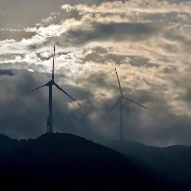 乌蒙大草原高山矮杜鹃,盘州市乌蒙大草原高山