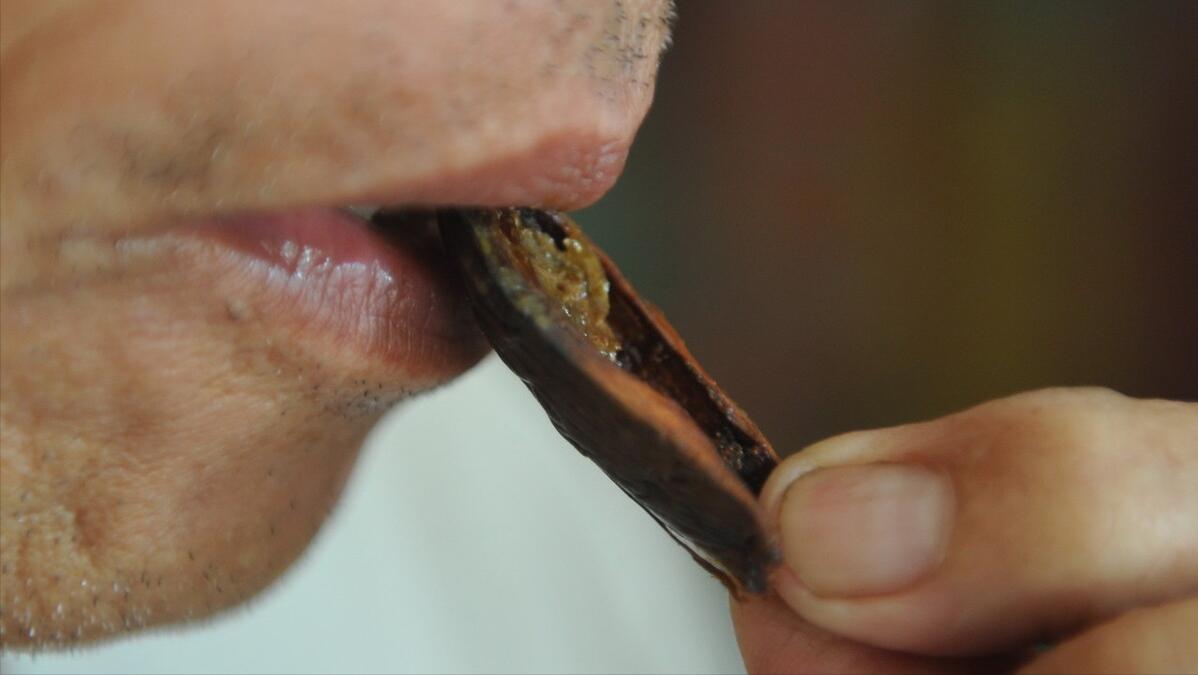 为什么吃了槟榔会有头晕的感觉,槟榔为什么会提神醒脑