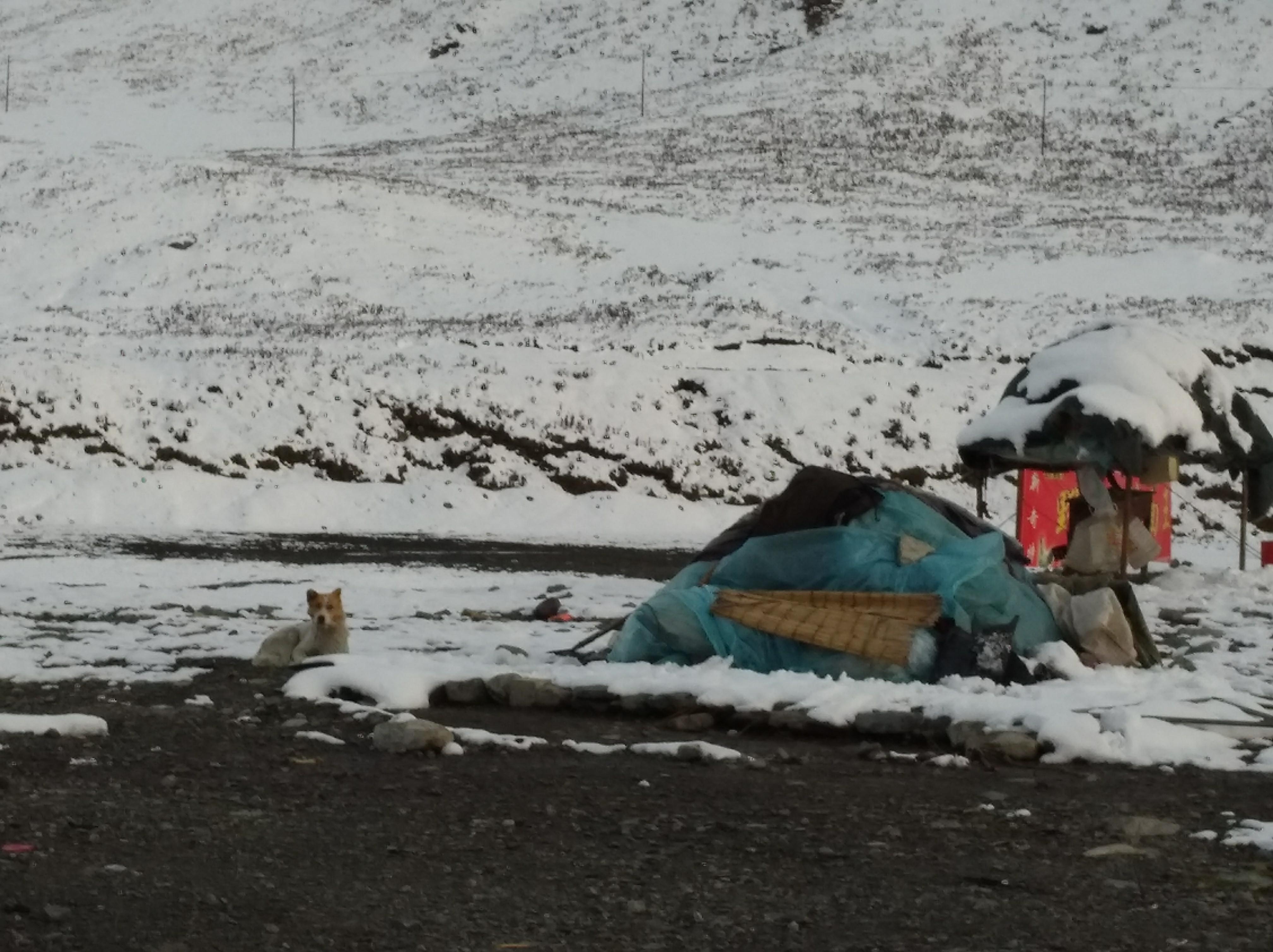 独库公路之旅日记,13000公里自驾新疆第十二天