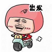 双流哪里有薰衣草花海景点,双流周边踏青看油菜花的地方