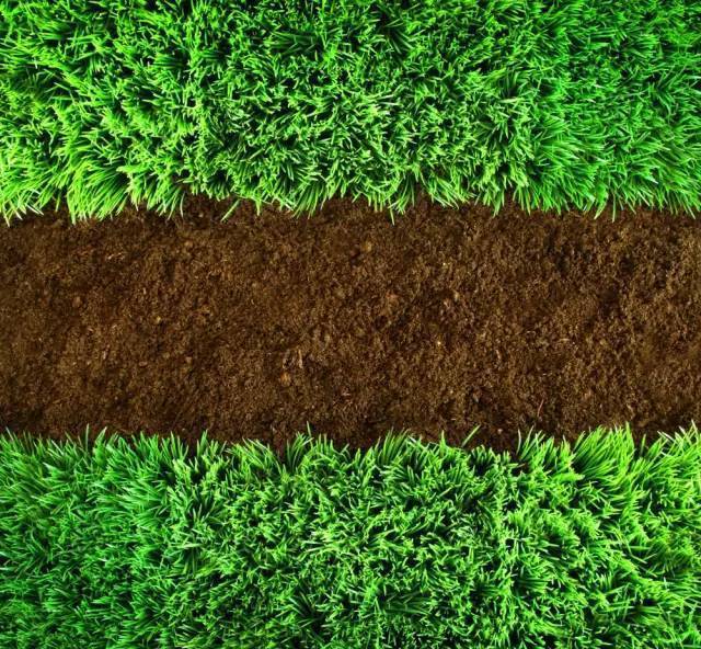 如何判断土壤的酸碱性,怎么判断土壤的酸碱性