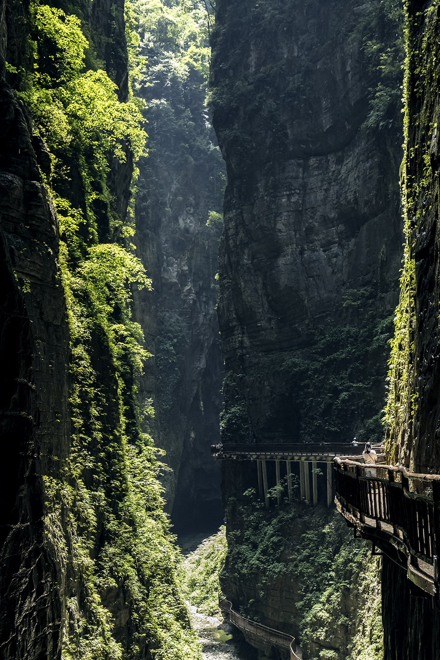 重庆人去哪里避暑最合适,重庆人适合出去避暑地方推荐