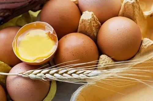 每天吃一个鸡蛋对身体有什么坏处,每天吃一个鸡蛋对人身体有坏处吗
