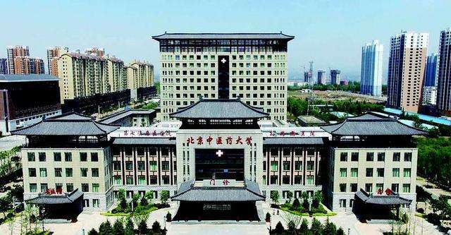 中医学——悬壶济世的中医专业