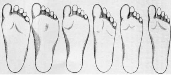 徒步鞋选购全攻略,如何挑选徒步鞋