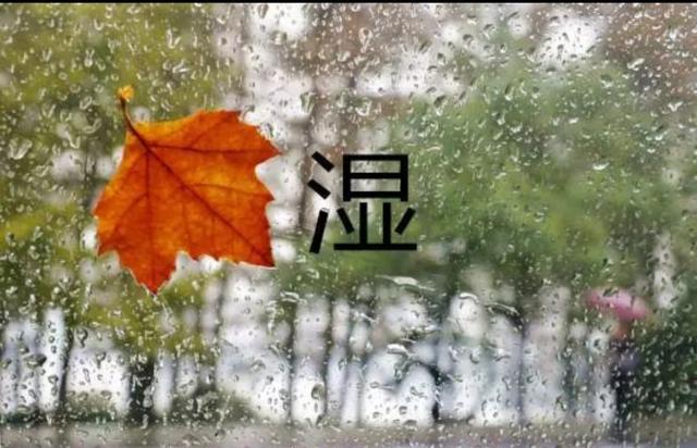 湿为百病之源，湿气不除，后患无穷！