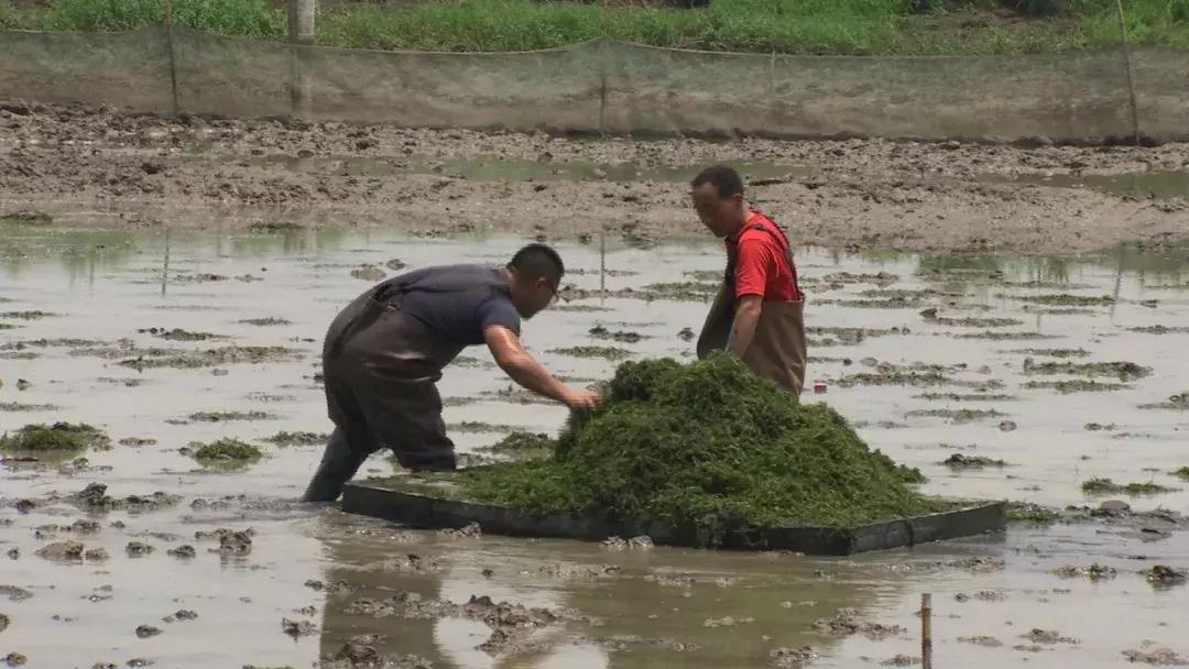 自己跑生意,自己跑业务做什么生意好